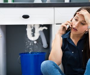 About Emergency plumbing pros Greenview, IL